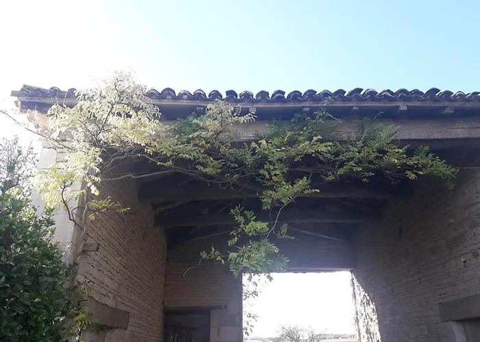 Au Domaine Du Petit Cercoux Pensión 3*