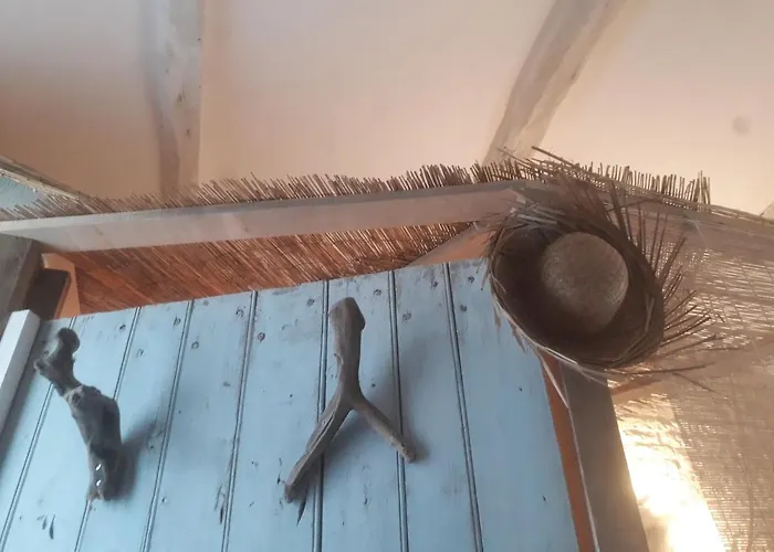 Au Domaine Du Petit Cercoux 3* Saint-Saturnin-du-Bois